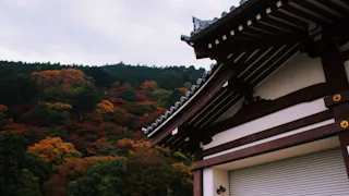 Yoshimine-dera Temple