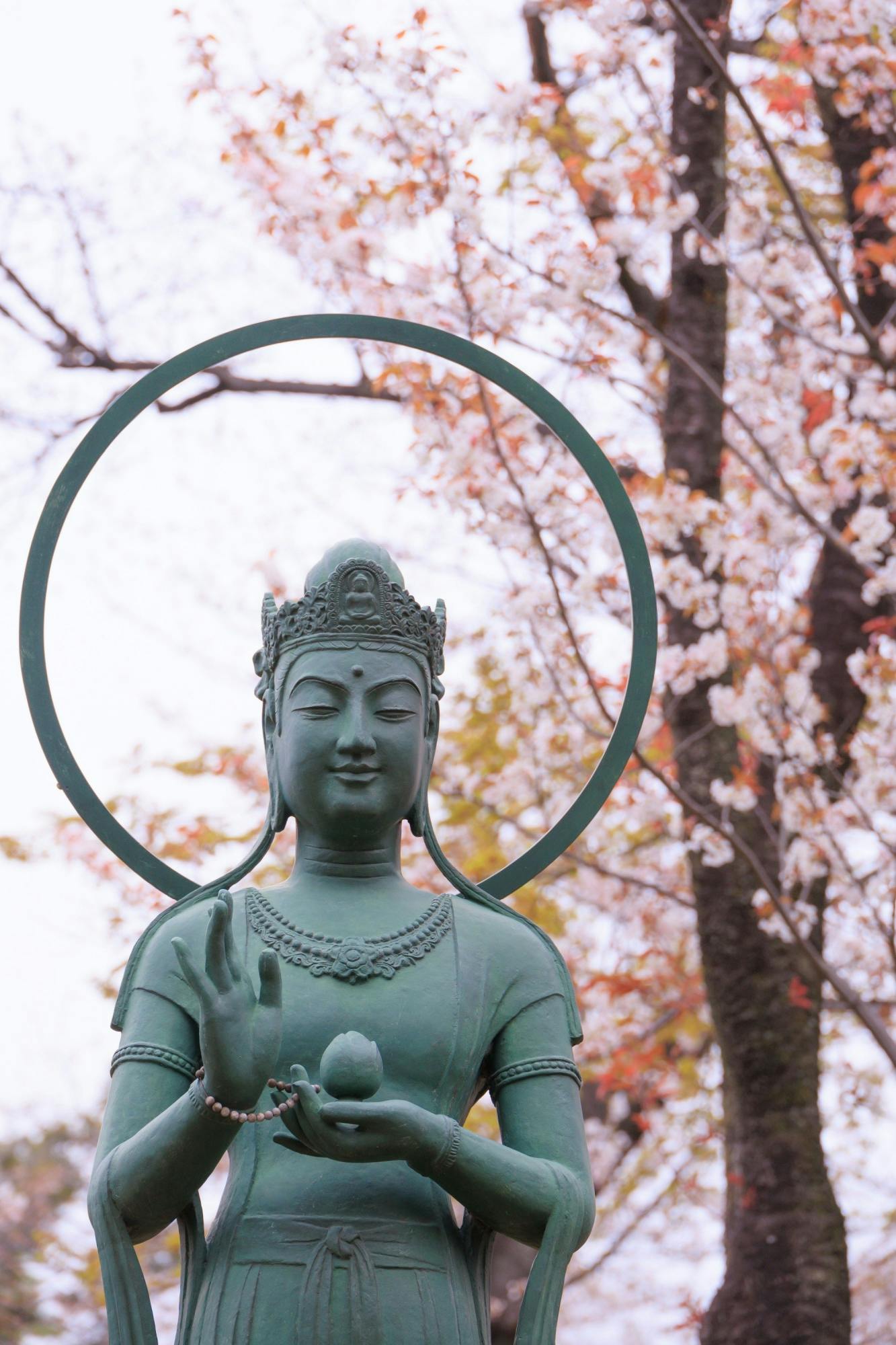 A serene green statue of a Buddhist figure stands with one hand raised and the other holding an object, set against a backdrop of blooming cherry blossom trees.