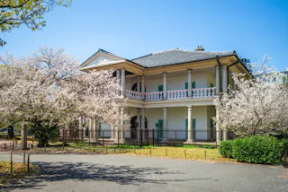A two-story Western-style building with white columns and balconies stands among blooming cherry blossom trees under a clear blue sky, surrounded by a garden and a paved pathway.