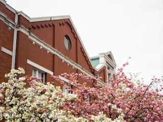 A red brick building with white trim stands behind blooming trees covered in pink and white flowers under an overcast sky.