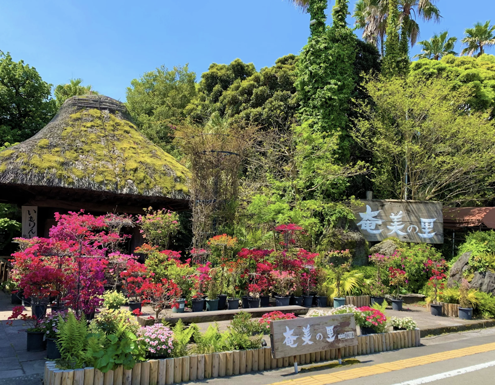 Kagoshima Hand Weaving Experience
