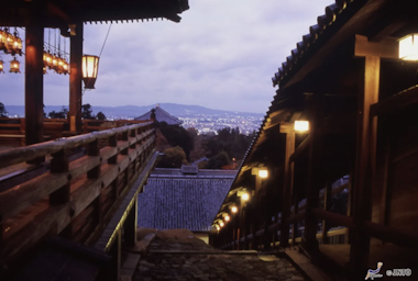 Nara Afternoon Tour