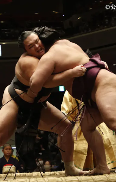 Tokyo Sumo Tournament Tokyo Sumo Tournament