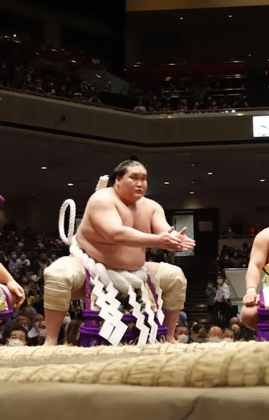 Tokyo Sumo Tournament Tokyo Sumo Tournament