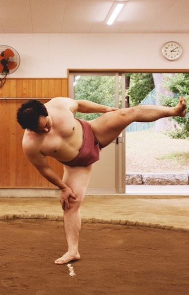 Sumo Wrestler Sumo Wrestler