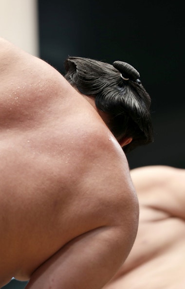 Sumo Wrestler Sumo Wrestler