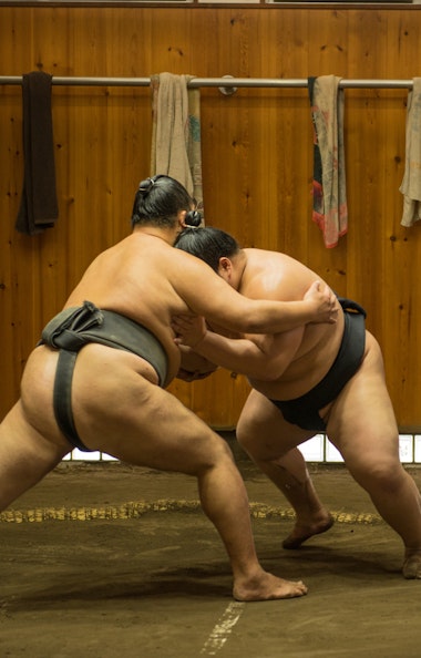 Sumo Wrestler Sumo Wrestler
