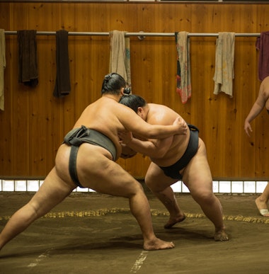Sumo Wrestler