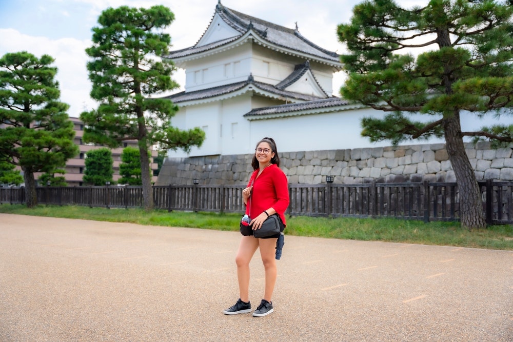 Nijo Castle