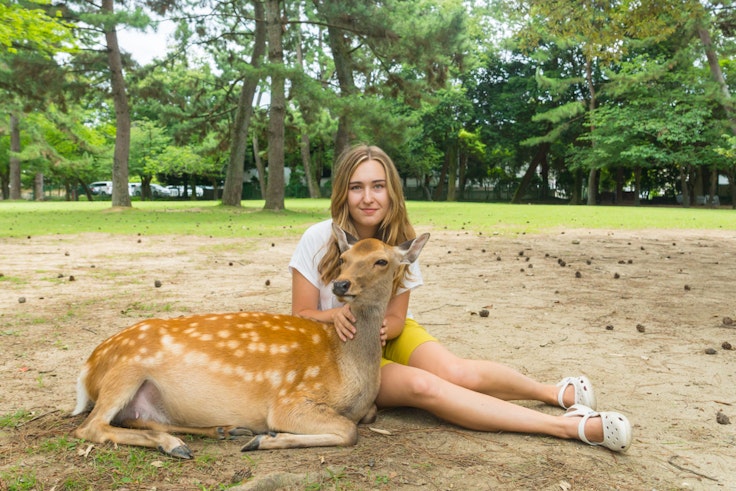 Nara Park