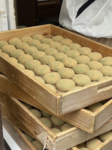 Nara Mochi