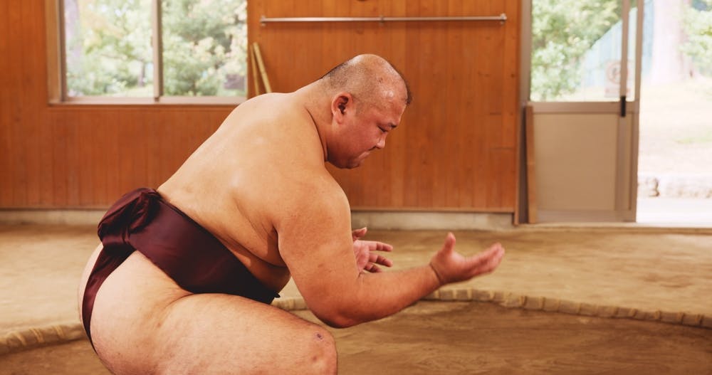 Sumo Wrestler
