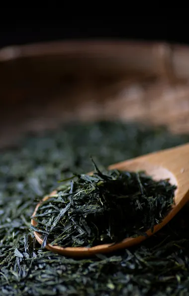 Japanese Tea Leaves Japanese Tea Leaves