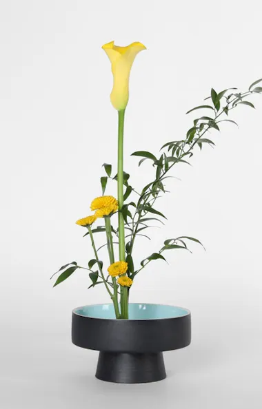Ikebana Ikebana