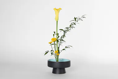 Ikebana