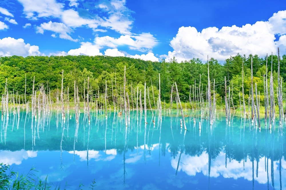 Blue Pond