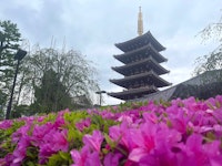 Asakusa Food Tour