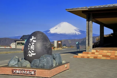 Mt. Fuji & Hakone