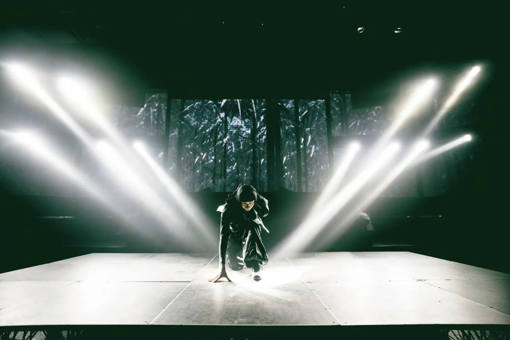 NINJA & KABUKI TOKYO Show