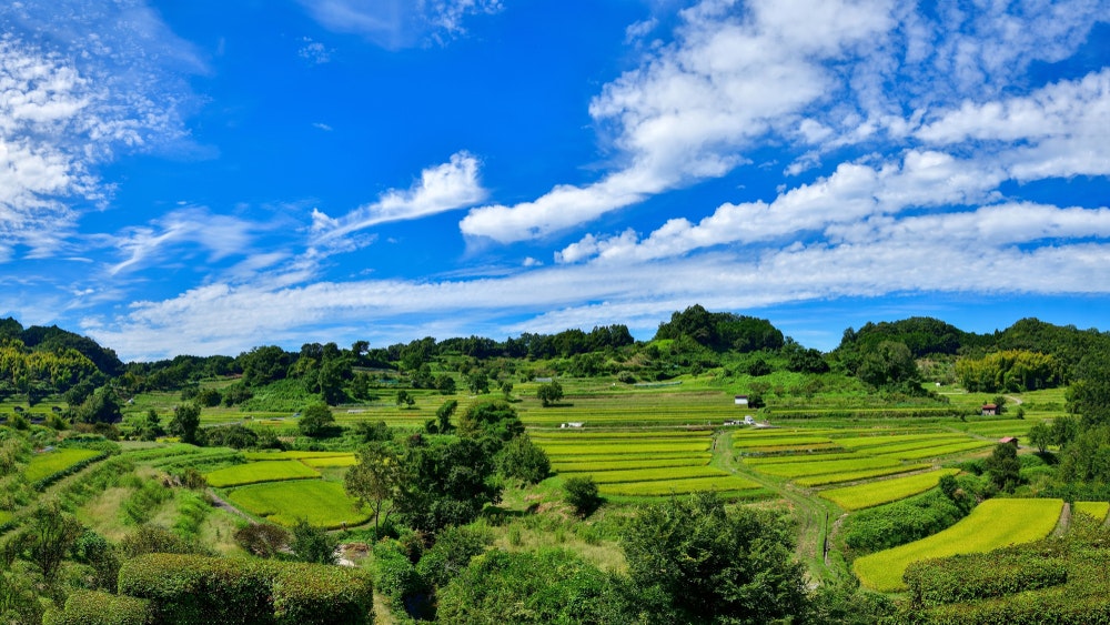 Asuka Village