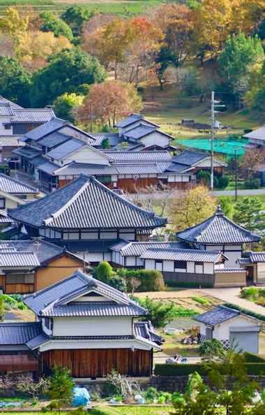 Amakashi-no-Oka Amakashi-no-Oka