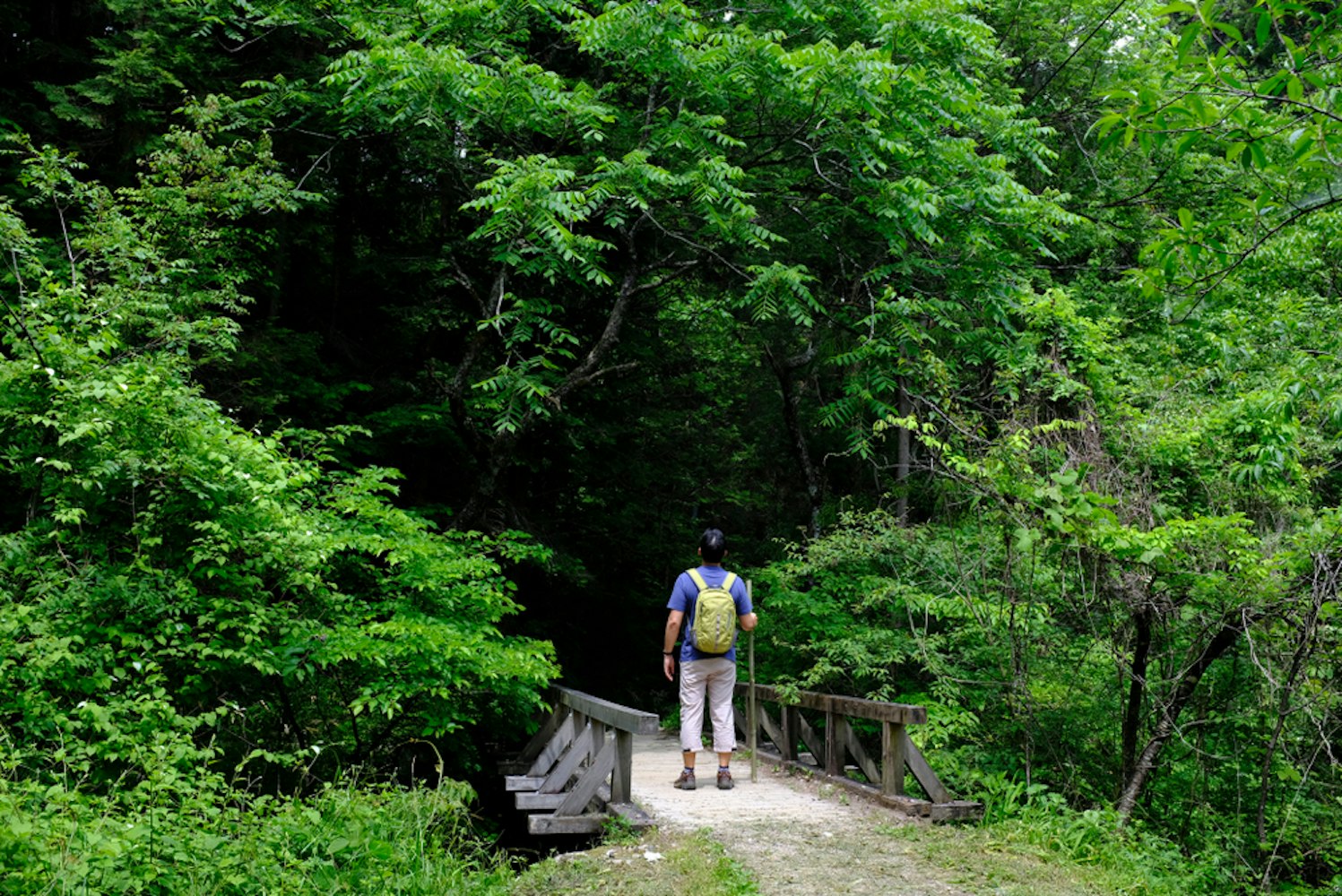 Nakasendo Trail
