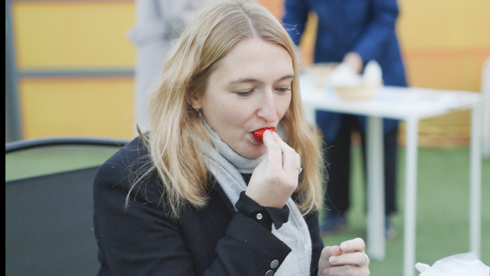Strawberry Mochi Experience