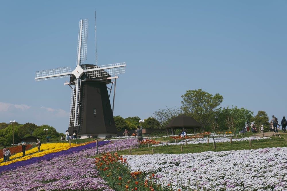 Flower Expo Memorial Park Tsurumi Ryokuchi