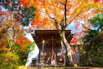 Shoutengu Saikoji Temple