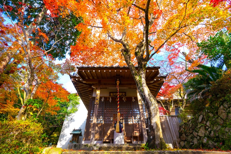 Shoutengu Saikoji Temple