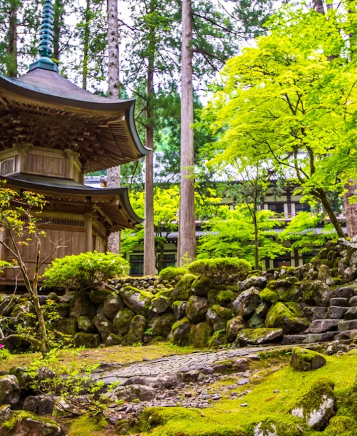 Scenery of Eiheiji Temple, Fukui Prefecture Fukui overview