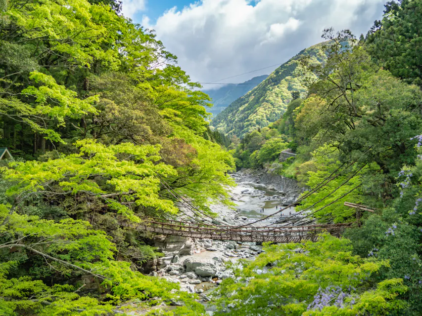 Kazurabashi at Iya Valley in Miyoshi City Kazurabashi at Iya Valley in Miyoshi City