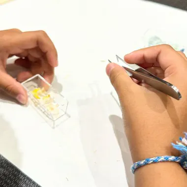 Herbarium Chopstick Rests Workshop Herbarium Chopstick Rests Workshop