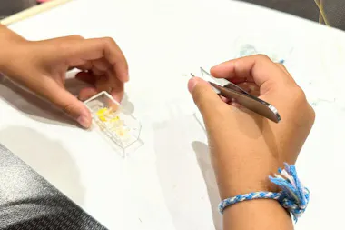 Herbarium Chopstick Rests Workshop