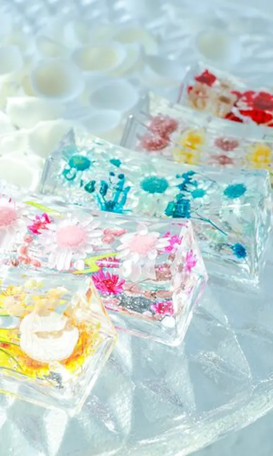 Herbarium Chopstick Rests Workshop Herbarium Chopstick Rests Workshop