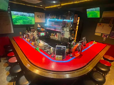 Shinjuku Karaoke Lesson