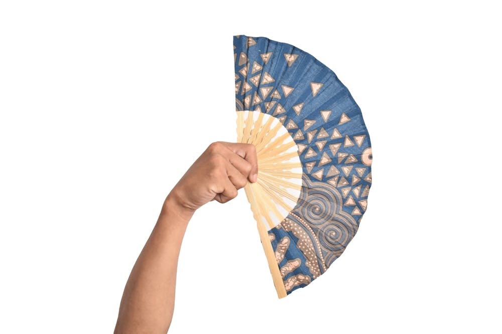 Japanese Fan