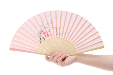 Japanese Fan