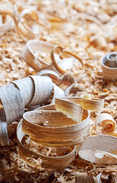 Wood Carving Wood Carving