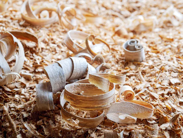 Wood Carving