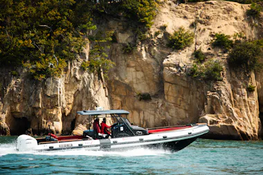 Mukaishima Coastal Cruise