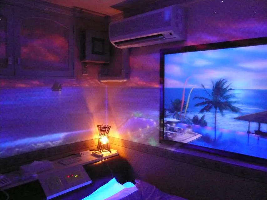 Black-light art in Shibuya love-hotel, Tokyo