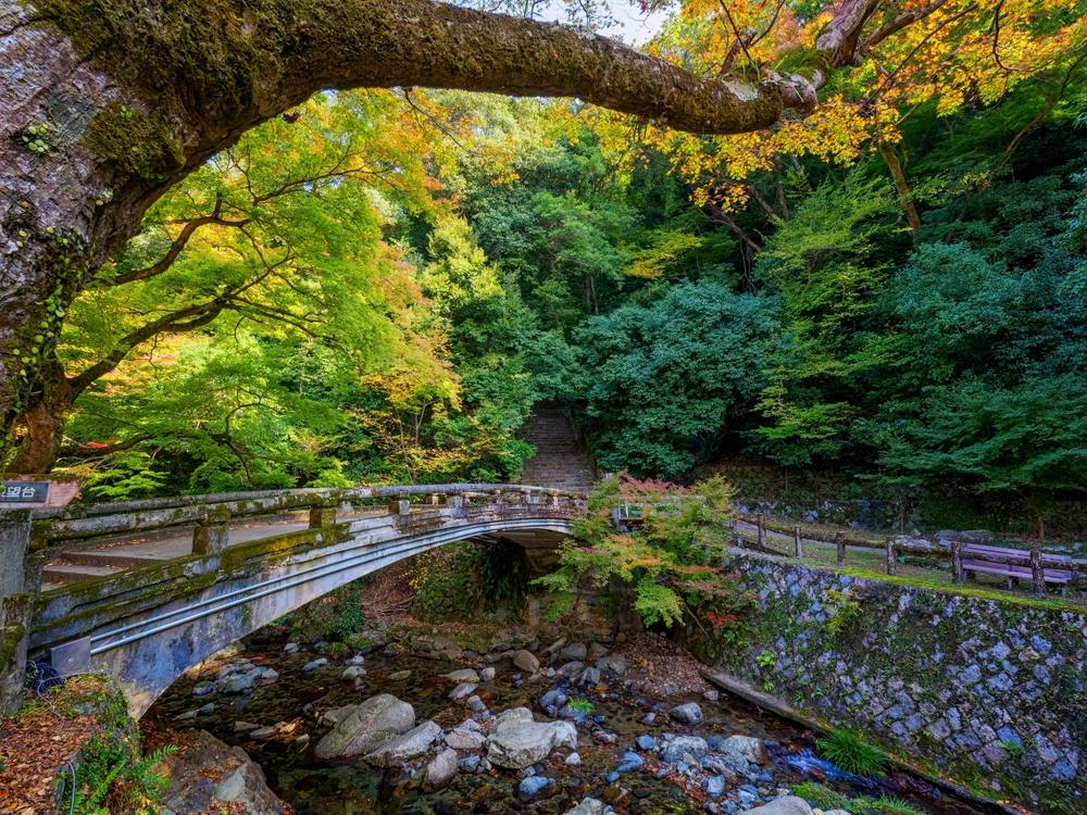 How to Take a Day Trip to Minoh Park - Trip To Japan
