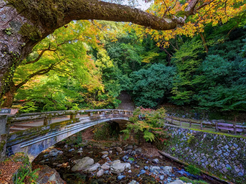 How to Take a Day Trip to Minoh Park