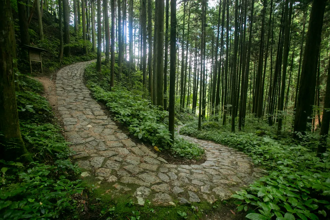 Walking the cobblestone road following the Nakasendo trail between Tsumago and Magome in Kiso Valley, Japan