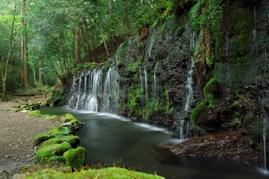 Hakone Exploring Chisuji Falls, the Open Air Museum, and Gora Park