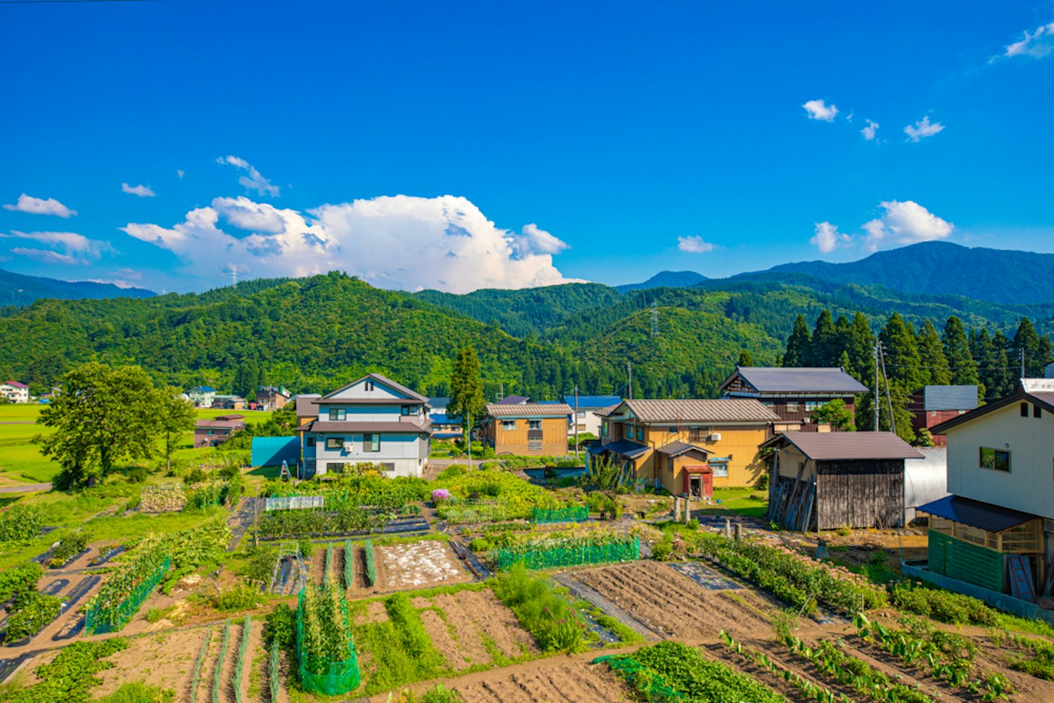 Hakkai-san Ropeway & Sake Brewery in Niigata