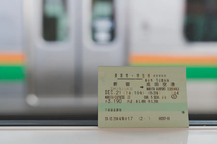 Narita Express (N'EX)