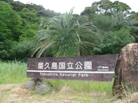 Yakushima National Park