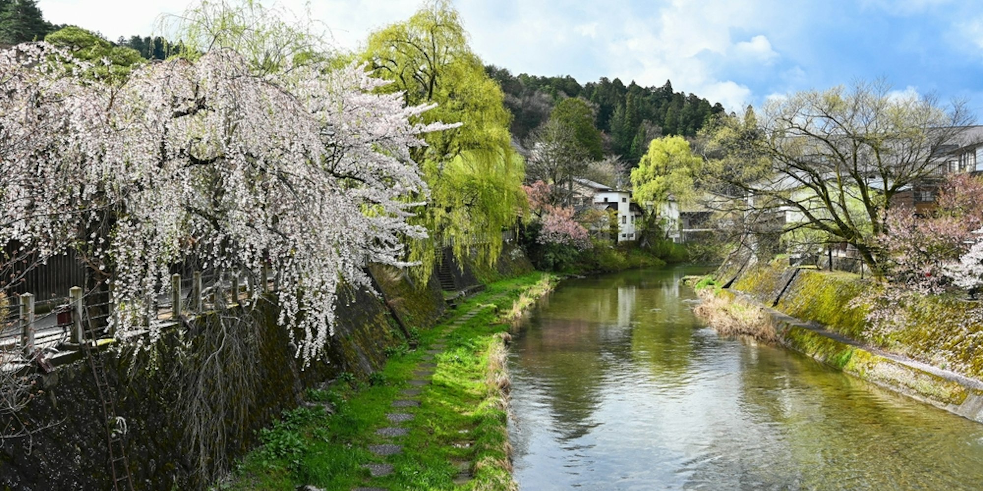 Miyagawa River with Sakura cherry blossom trees Miyagawa River with Sakura cherry blossom trees